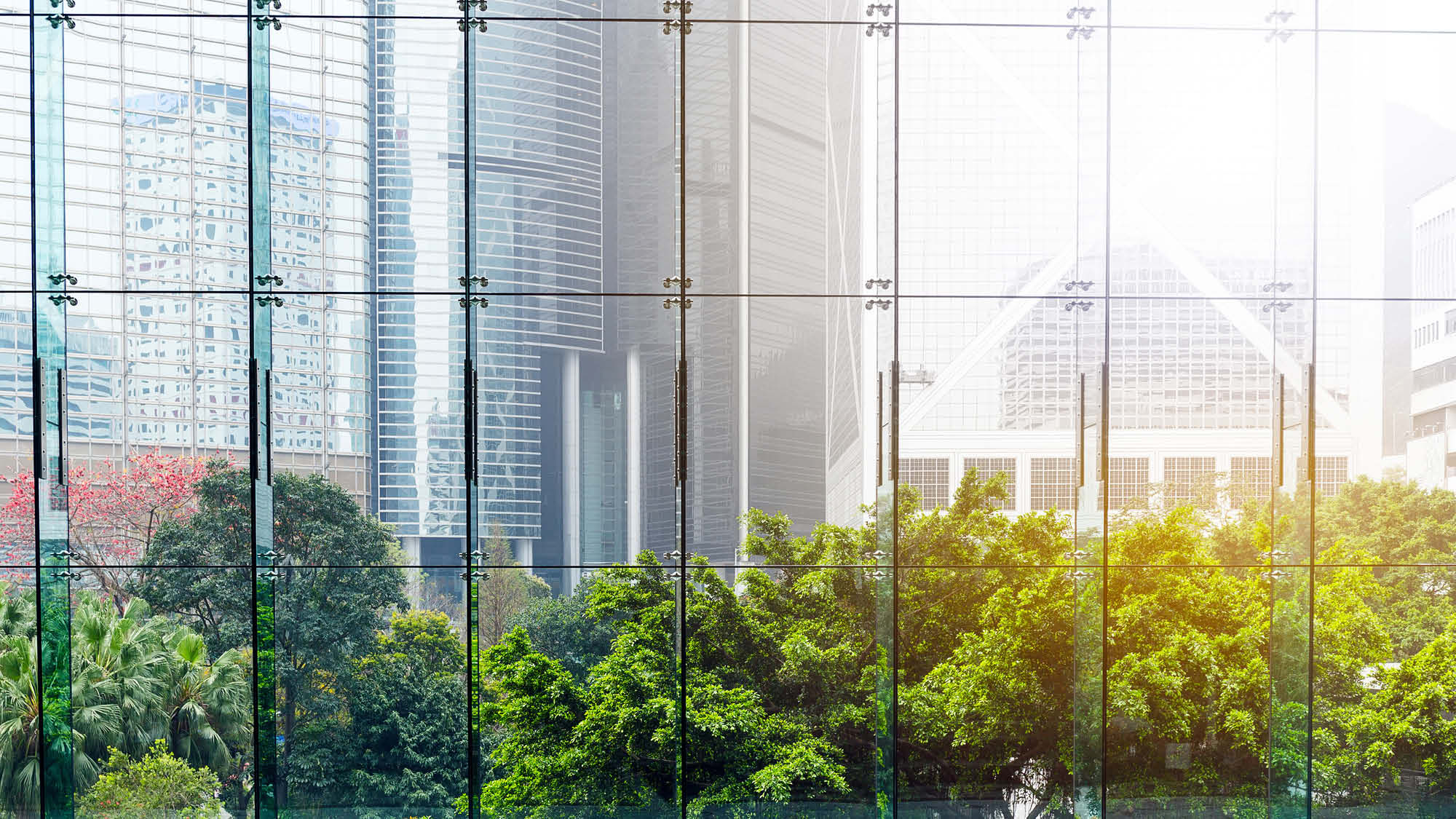 Eurosif_glass office