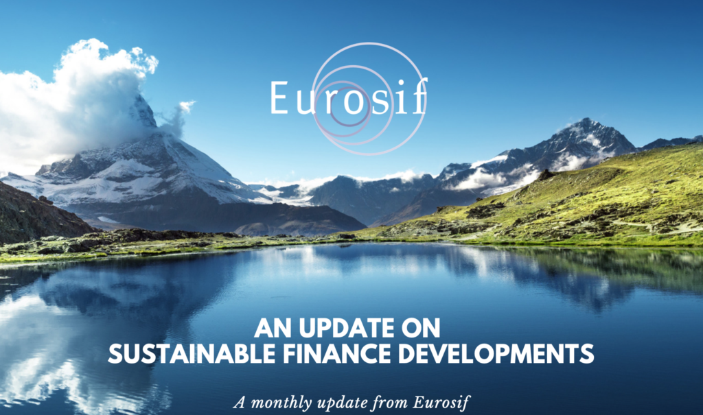 Monthly Sustainable Finance Update – November 2021