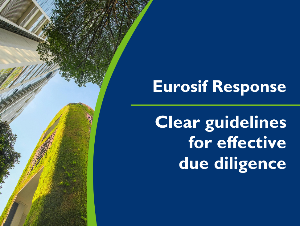 Eurosif responds to consultation on due diligence guidelines