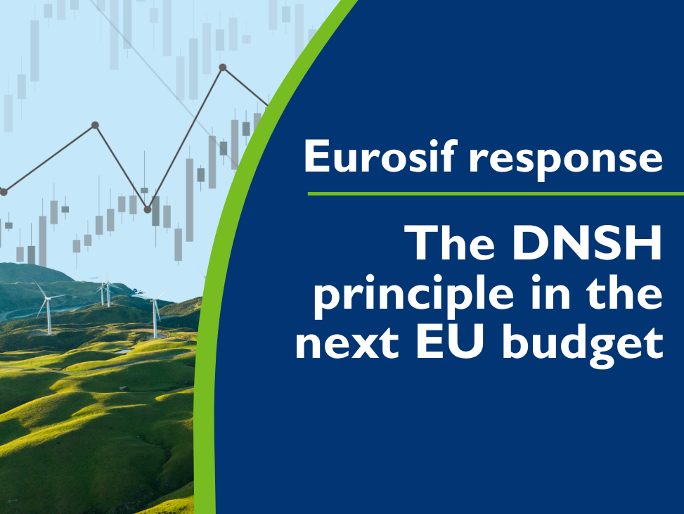 Eurosif response to the Commission consultation on DNSH under the next MFF